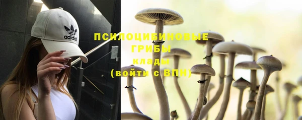 mdpv Семёнов