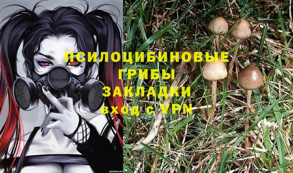 винт Краснослободск