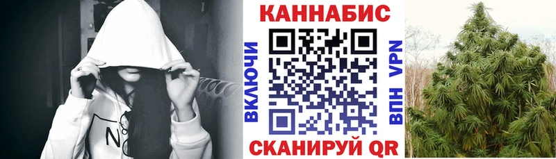 Шишки марихуана сатива  Кировград 